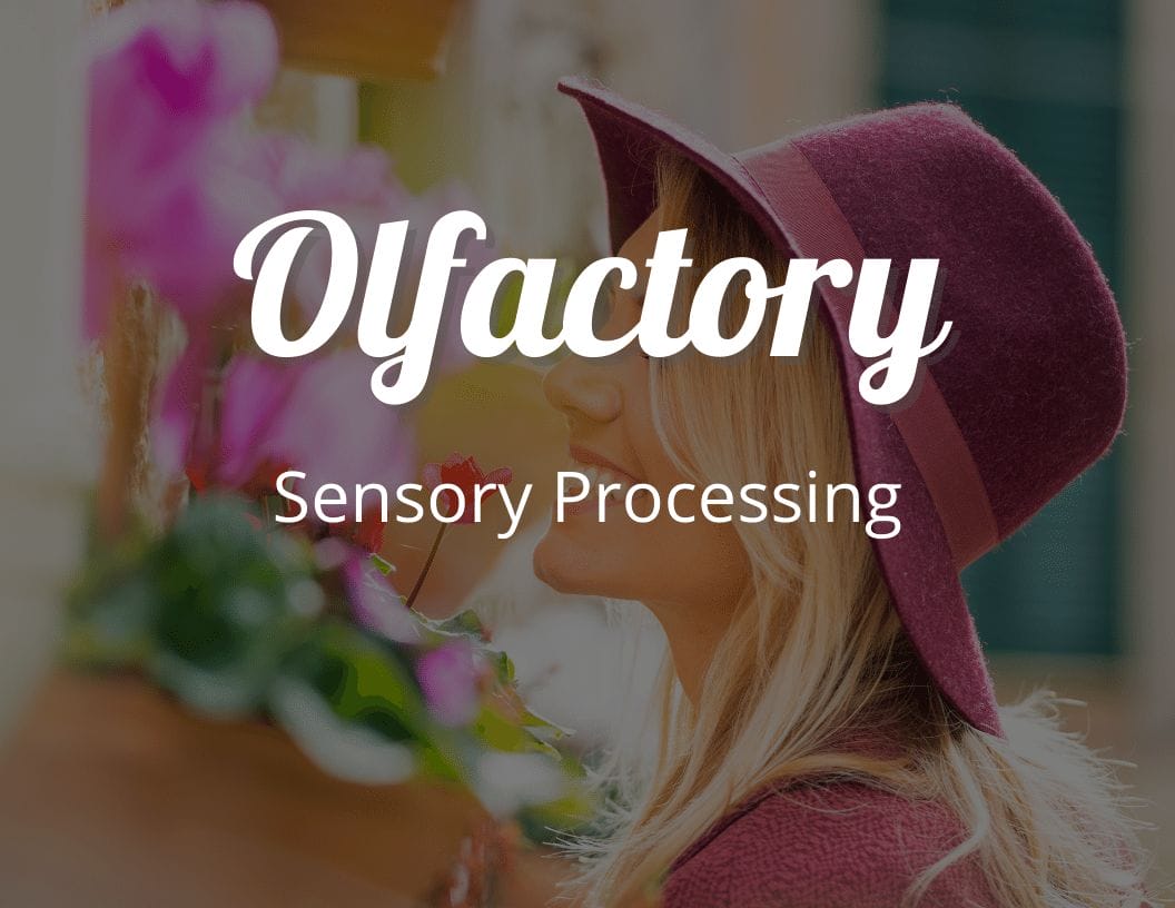 Olfactory Sensory Processing