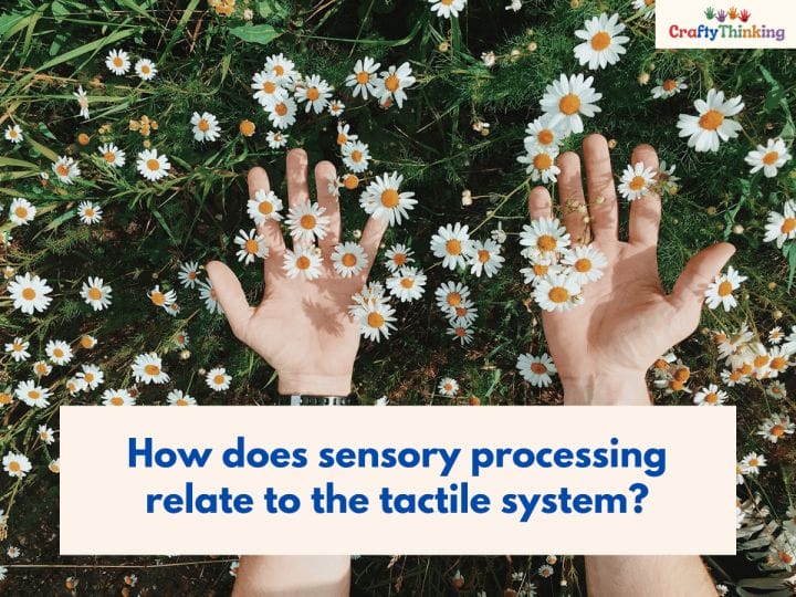 Tactile Sensory