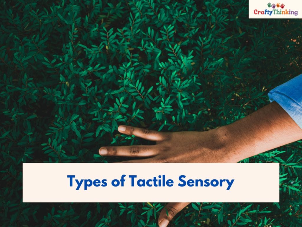 Tactile Sensory