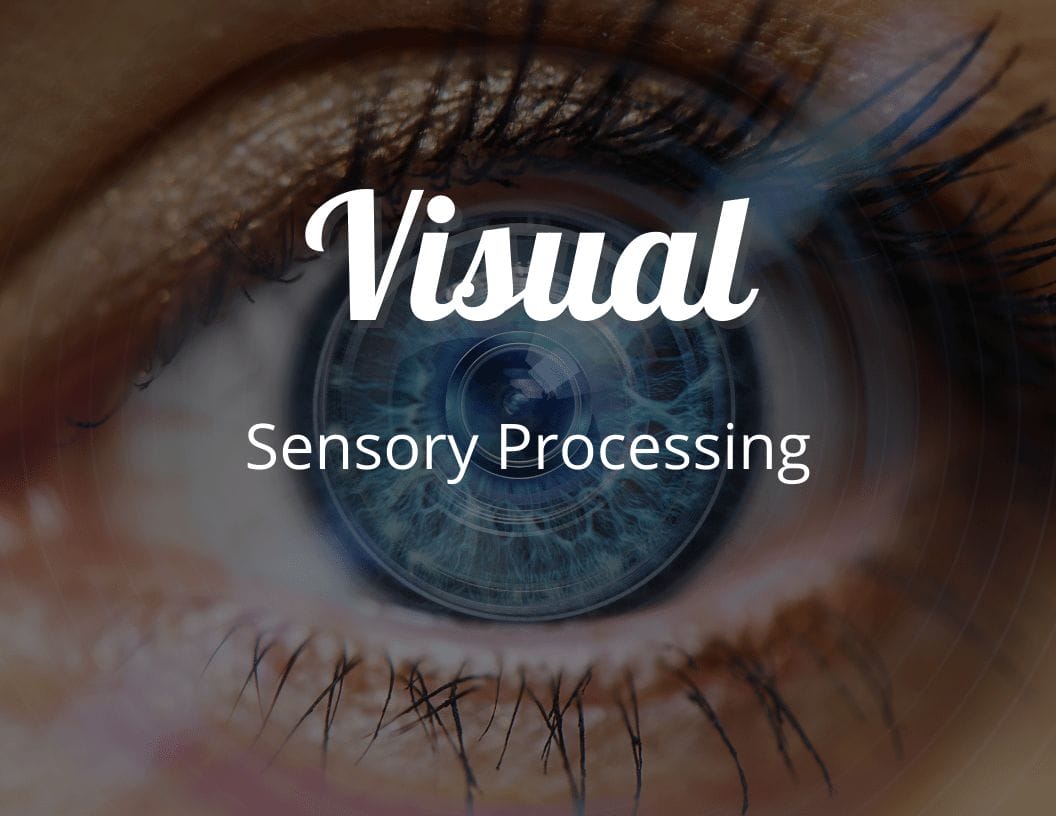 Visual Sensory Processing