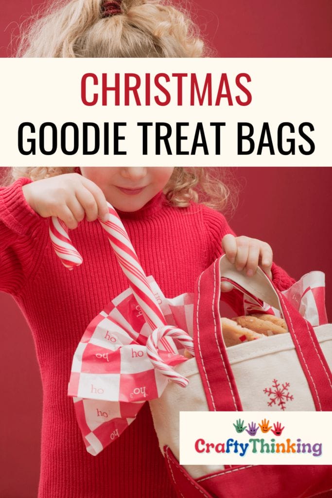 Christmas Goodie Treat Bags