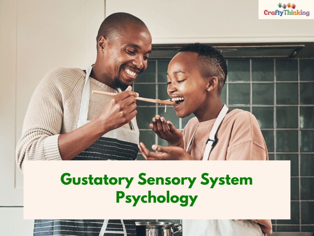 Gustatory Sensory System