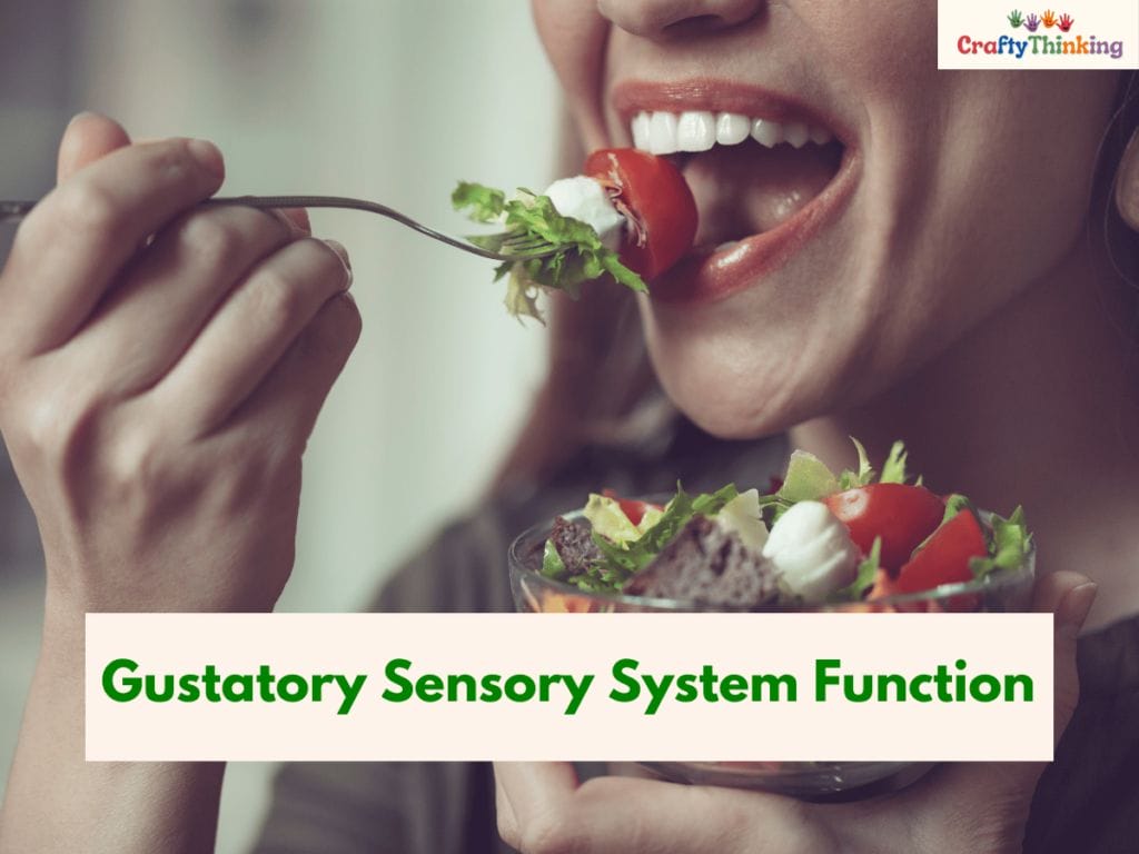 Gustatory Sensory System