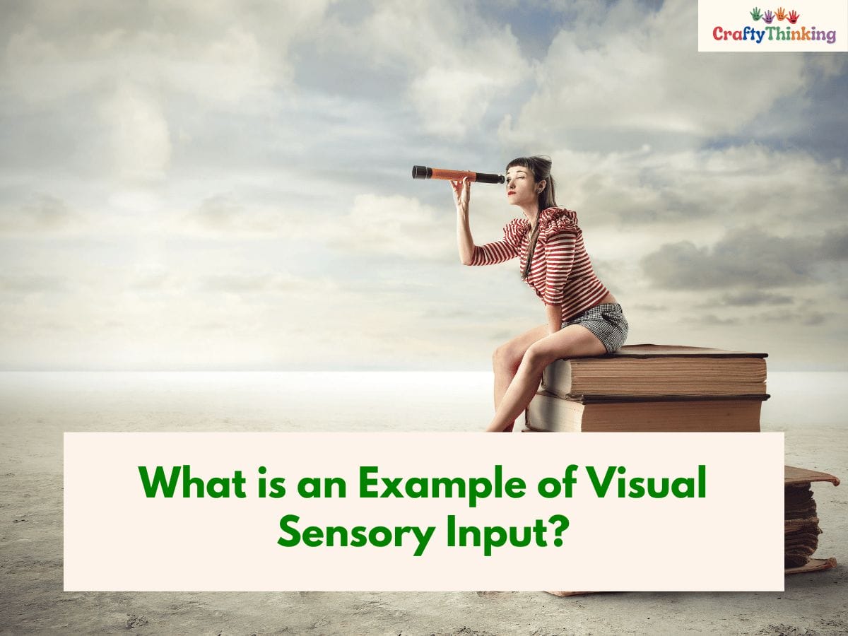 Visual Sensory System