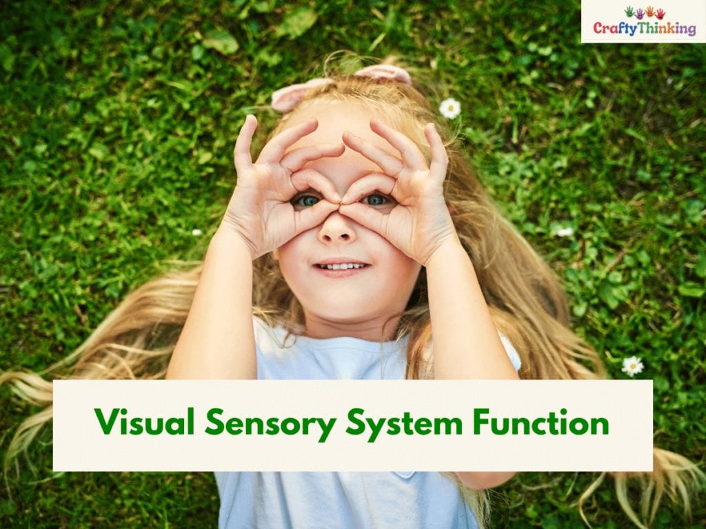 Visual Sensory System