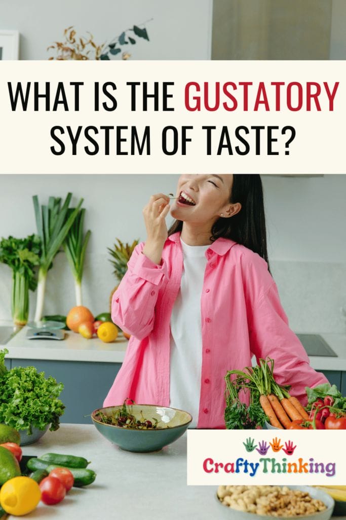 What is the Gustatory System of Taste