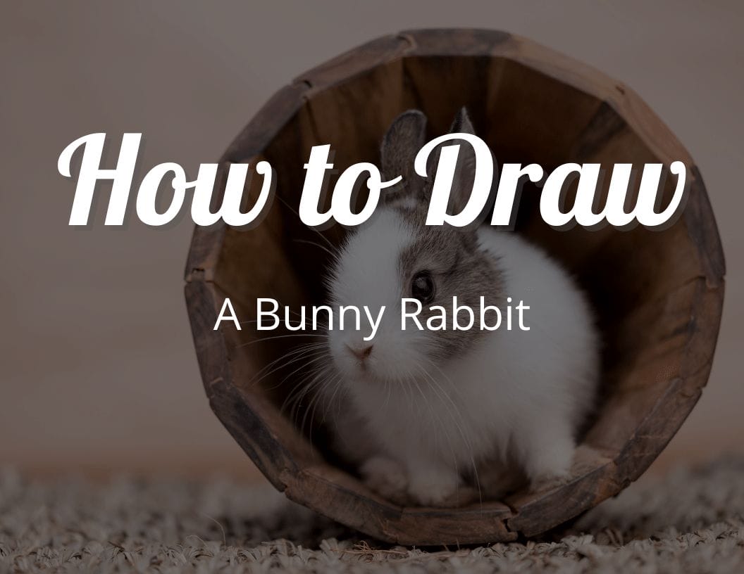 How to Draw a Bunny Rabbit